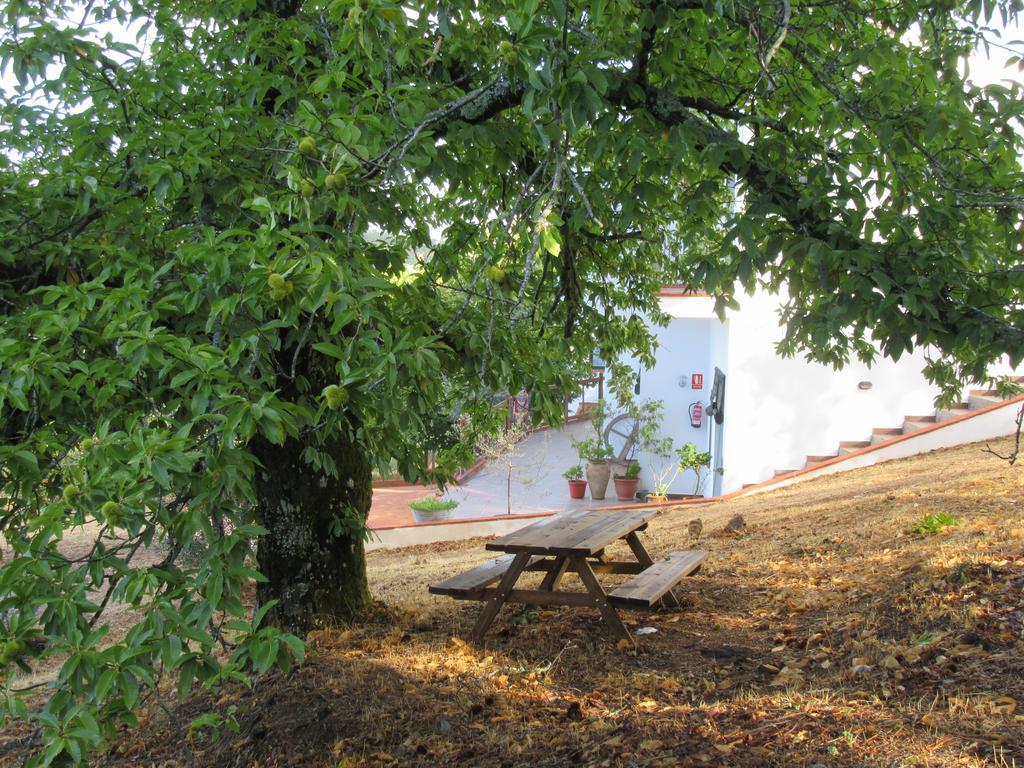 Alojamiento Rural Camino Beturia Cabeza la Vaca Dış mekan fotoğraf