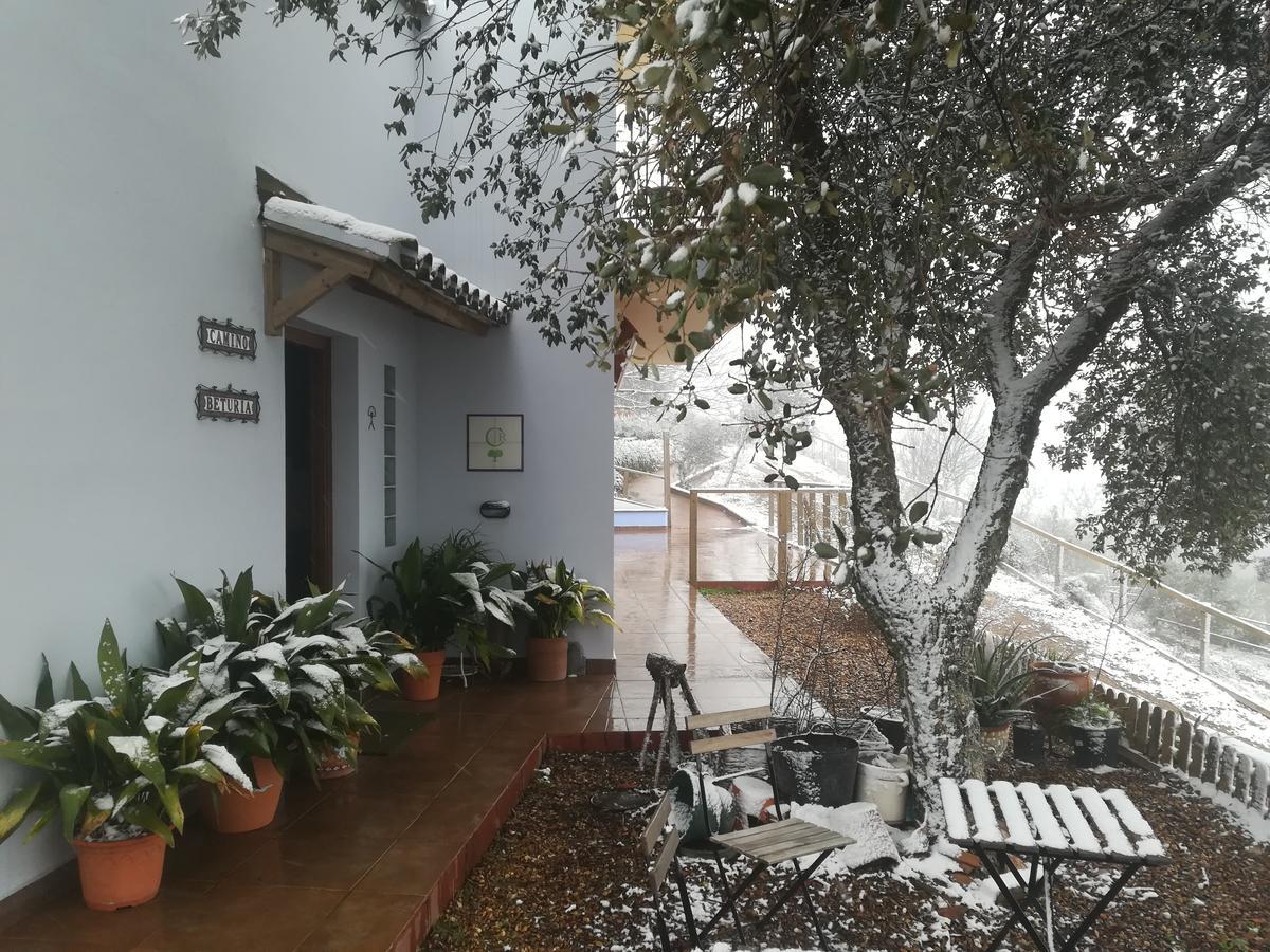 Alojamiento Rural Camino Beturia Cabeza la Vaca Dış mekan fotoğraf